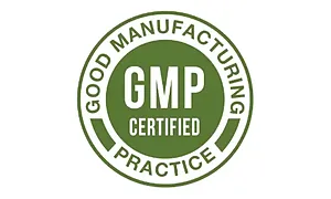 GMP Standards